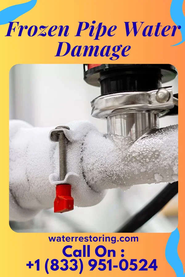 Frozen Pipe Water Damage in Port O'Connor, TX